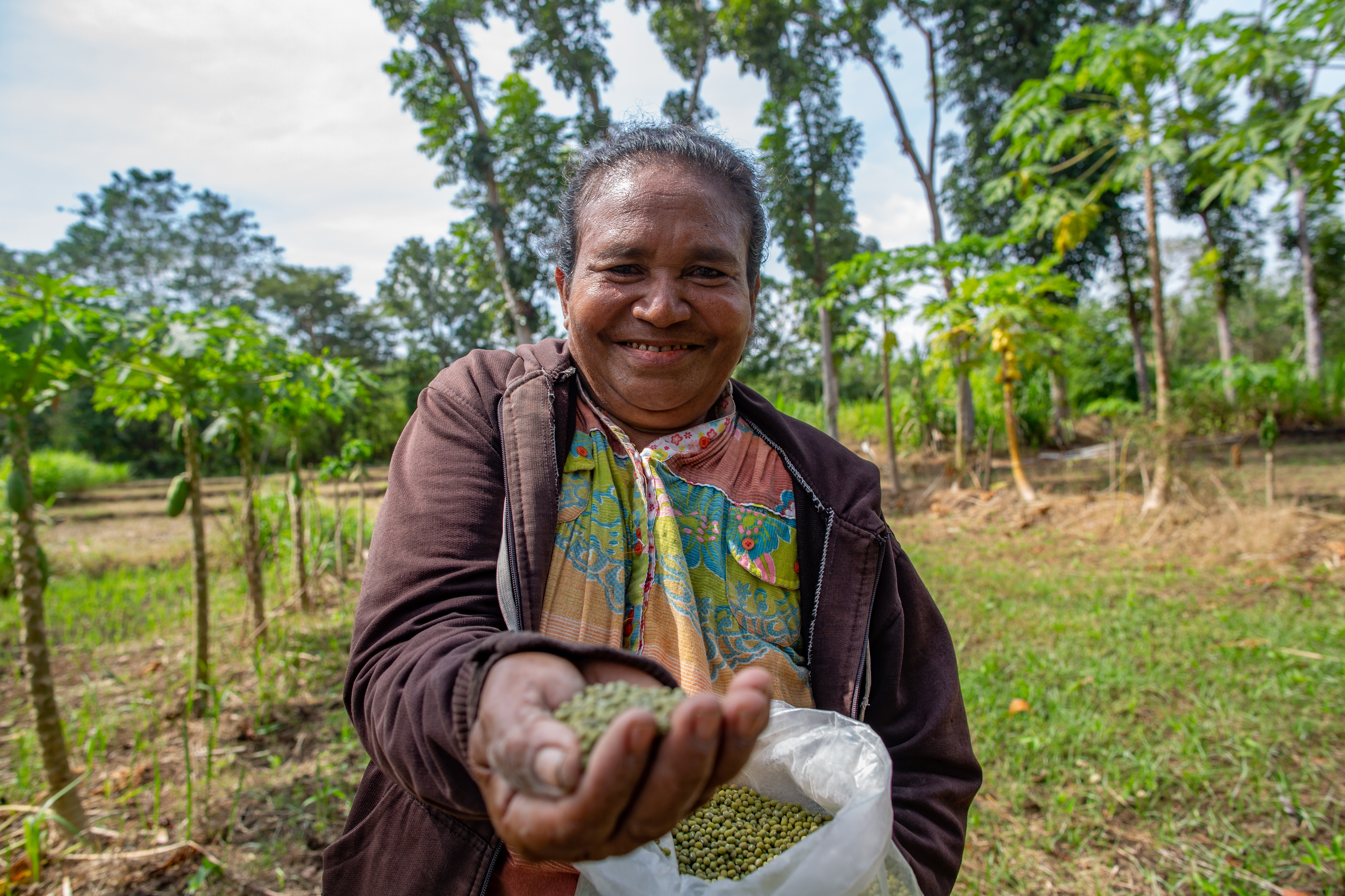 seorang wanita petani kacang hijau menunjukkan hasil produksi kacang hijau