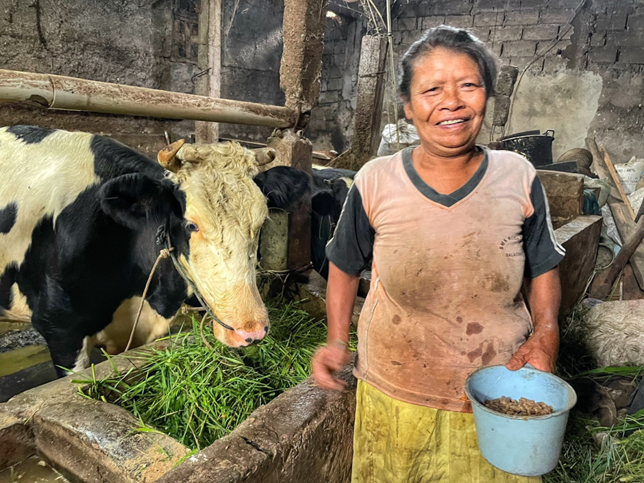 Ibu Surani, dairy farmer, Sengon village.