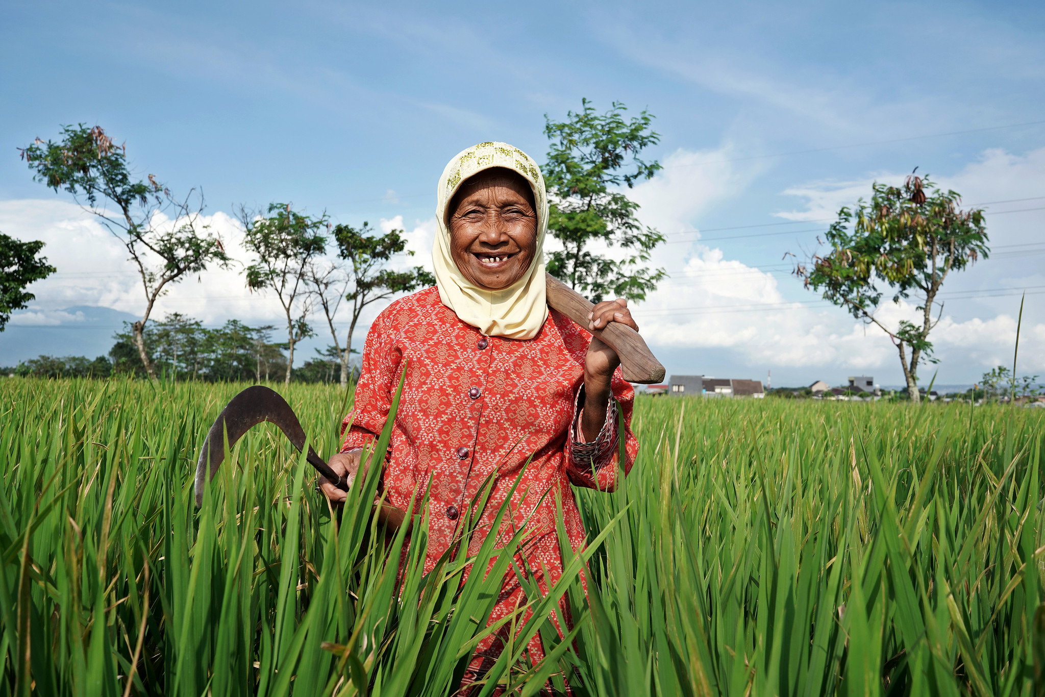 A portraiture of woman rice farmer