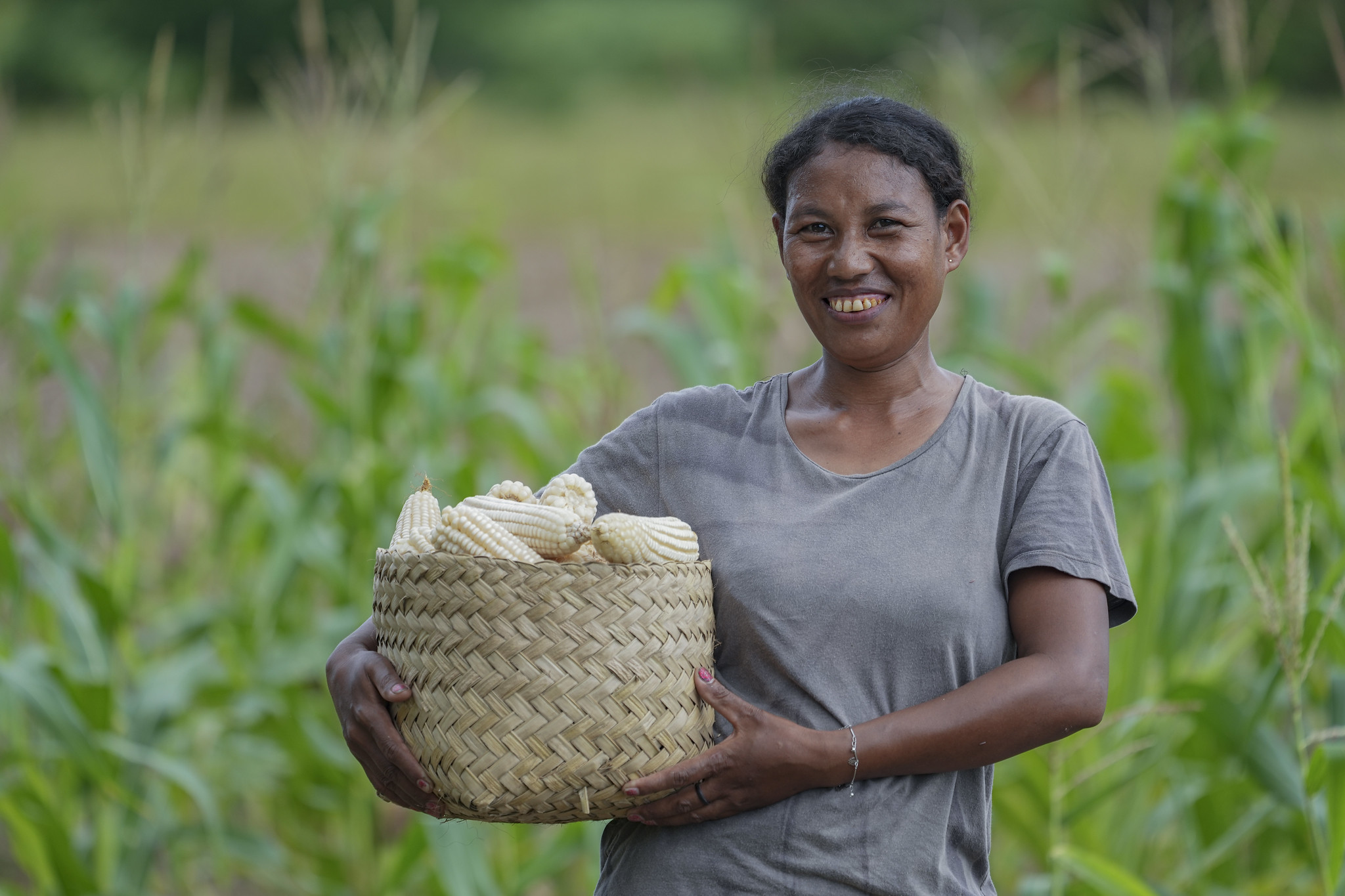 A woman farmer holding a bucket of harvested maize.